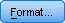 SPSS Format Button