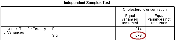 Output for the Independent T Test
