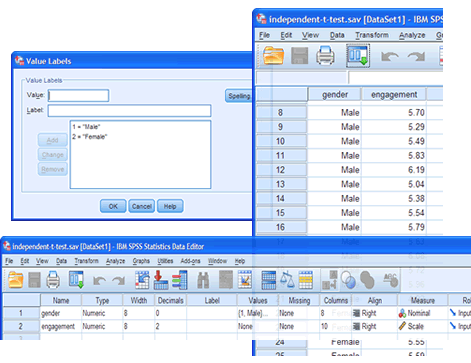 Screenshots of the 'Value Labels' dialogue box, and Variable View' and 'Data View' windows in SPSS Statistics