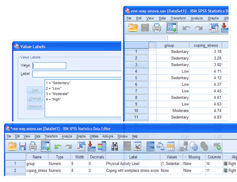 Screenshots of the 'Value Labels' dialogue box, and Variable View' and 'Data View' windows in SPSS Statistics