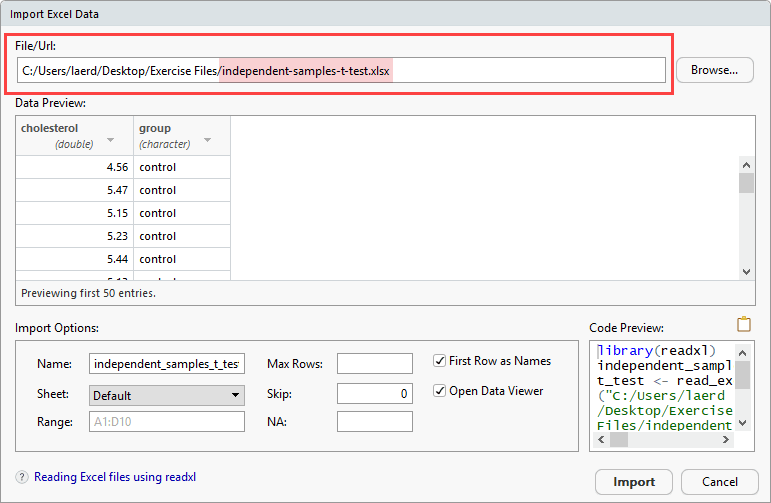 Setting up the File/URL box within the Import Excel Data dialogue box in RStudio