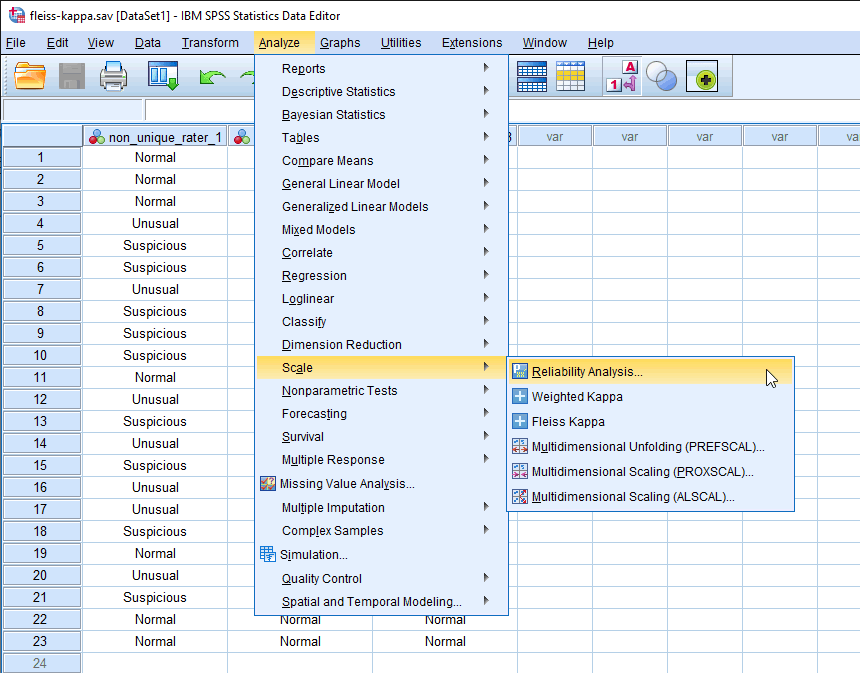 Fleiss' kappa in SPSS Statistics Statistics