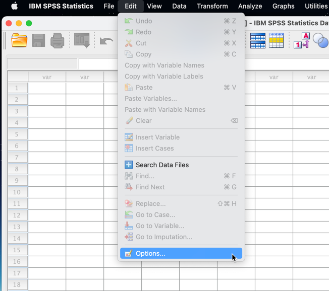 Shows the SPSS Statistics menu for the 'Options' dialogue box. Apple macOS