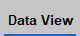 data view