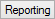 Reporting